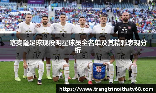 喀麦隆足球现役明星球员全名单及其精彩表现分析